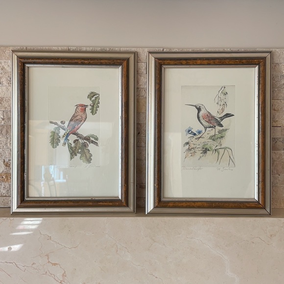 Pair of hand-colored Aviary Prints, framed - Picture 4 of 4